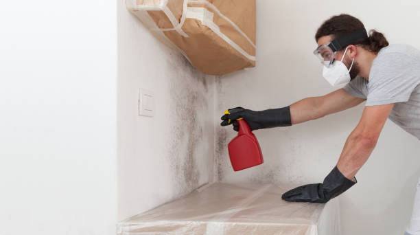 Professional Bathroom Mold Removal technician working in Sandy Spring, MD