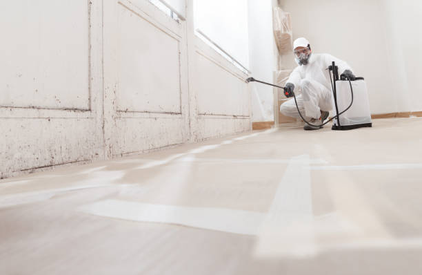 24/7 Emergency Bathroom Mold Removal experts in Sandy Spring, MD