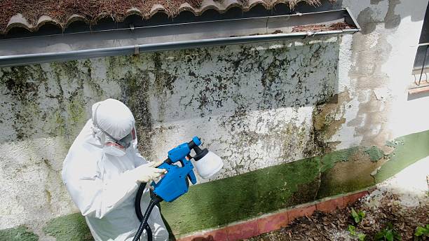 Top rated local Bathroom Mold Removal specialists in Sandy Spring, MD